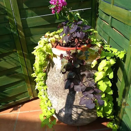 With Parking Space - 14631 *