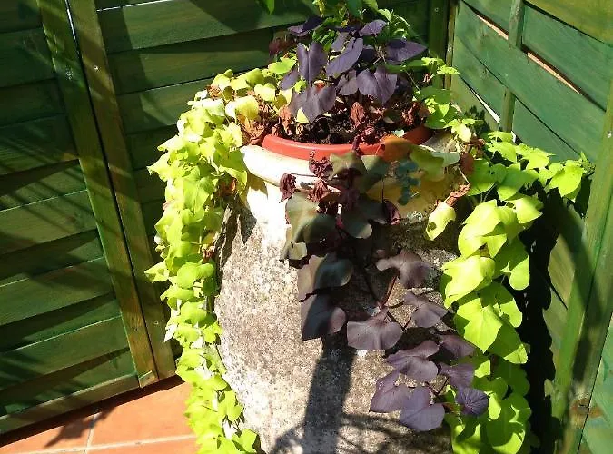 With Parking Space - 14631 *